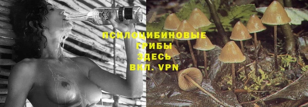 мдпв Нефтегорск