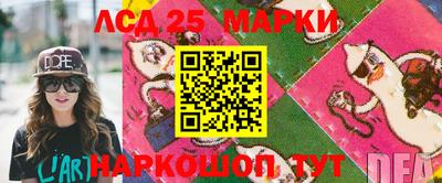 гидропоника Аргун