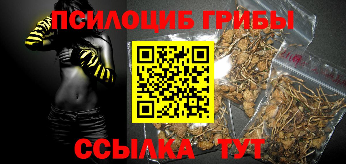 закладки  Вход с VPN  Лысьва  Псилоцибиновые грибы Cubensis  Псилоцибиновые грибы MAGIC MUSHROOMS 